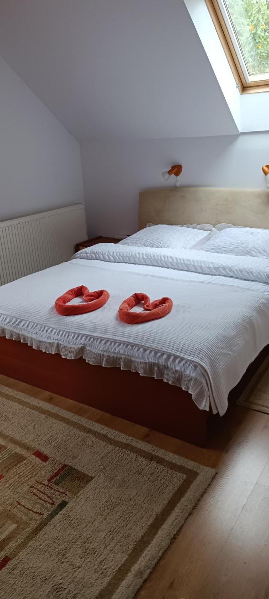 Pasager House Apartment Sovata Ngoại thất bức ảnh